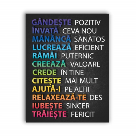 Tablou Motivational - Sfaturi De Viata - Img 4