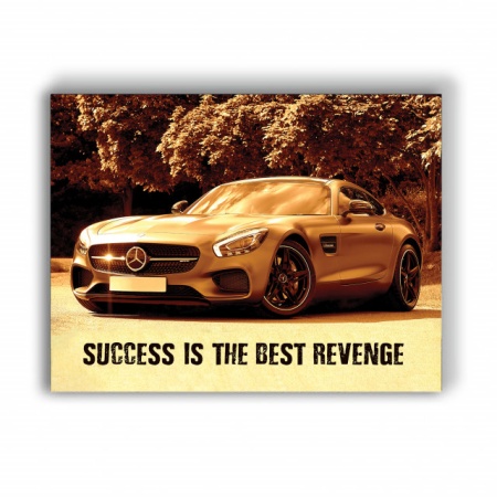 Tablou Motivational - Success Is The Best Revenge - Img 3