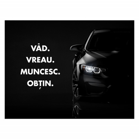 Tablou Motivational - Vad, Muncesc, Obtin - Img 4