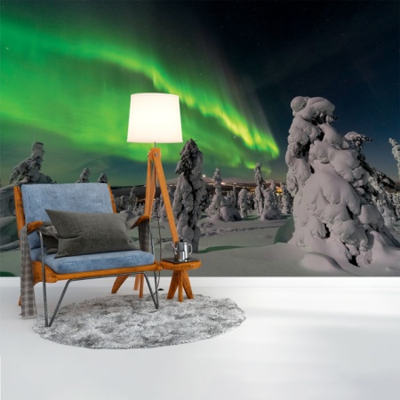 Foto tapet Aurora borealis and snow - Img 3