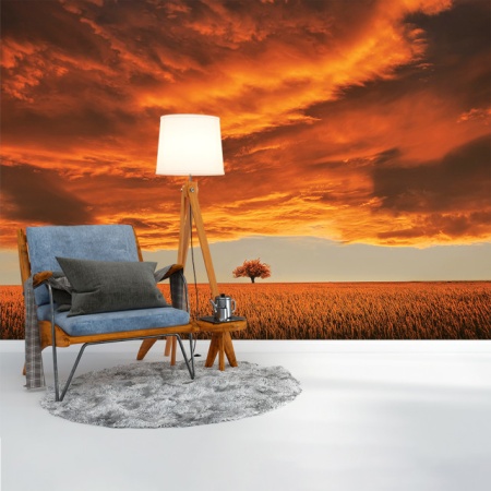Foto tapet Golden sunset - Img 3