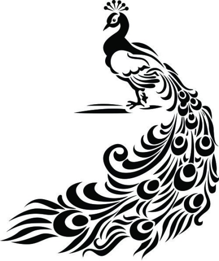Sticker De Perete Paun - Img 2