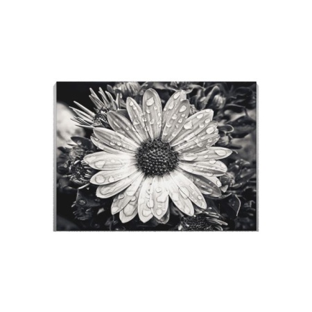 Tablou Canvas Black An White Flower - Img 2