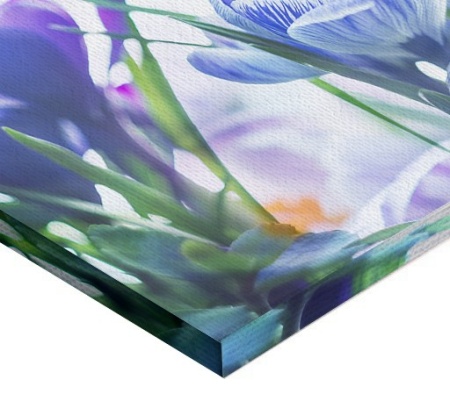 Tablou Canvas - Branduse - Img 2