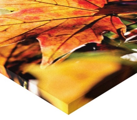 Tablou Canvas - Frunza Stejar - Img 3