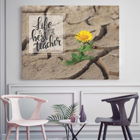 Tablou Motivational - Life Is The Best Teacher - Img 2