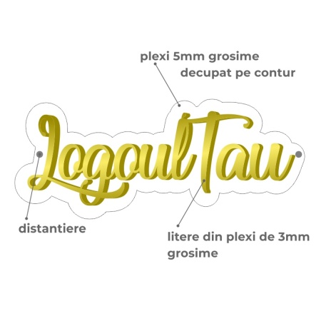 Sigla pe suport din plexiglass decupata pe contur cu litere din plexi aplicat 50x20cm - Img 2