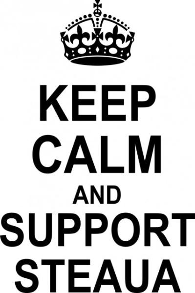 Sticker De Perete Keep Calm And Support Steaua - Img 2