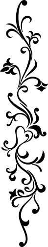 Sticker De Perete Liana - Img 4