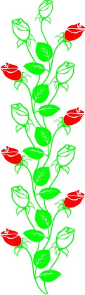 Sticker De Perete Ramura Trandafiri - Img 3