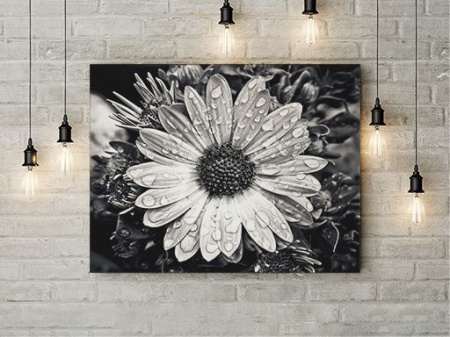 Tablou Canvas Black An White Flower - Img 3
