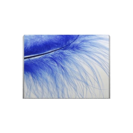 Tablou Canvas Blue Feather - Img 3