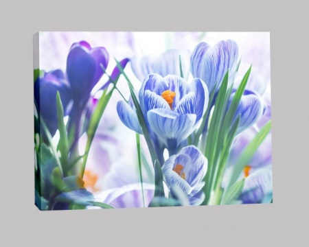Tablou Canvas - Branduse - Img 3