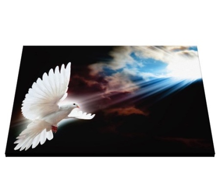 Tablou Canvas Efect Pictura - Porumbel - Img 5