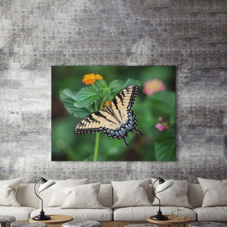 Tablou Canvas Pastel Butterfly - Img 3