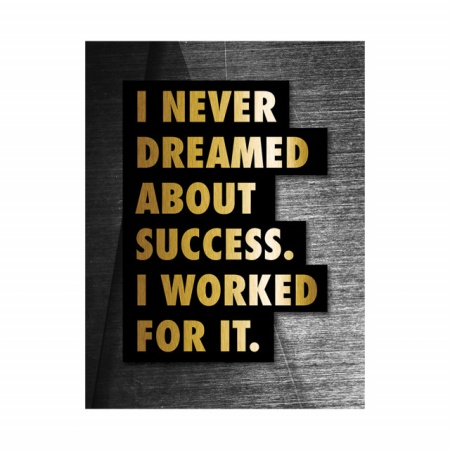 Tablou Motivational - I never dreamed about success - Img 3