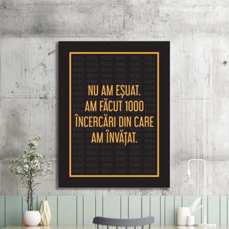 Tablou Motivational - Nu Am Esuat - Img 2