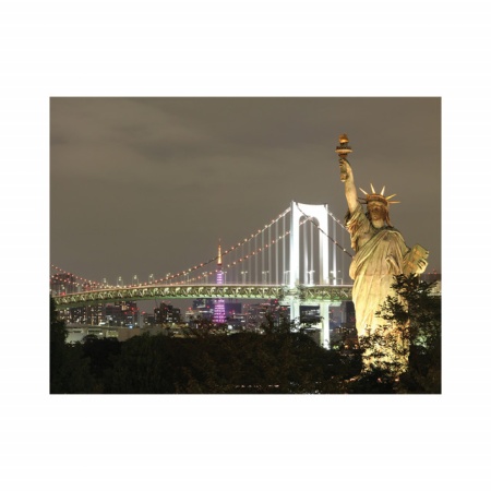 Tablou Office - Statue Of Liberty At Night - Img 2