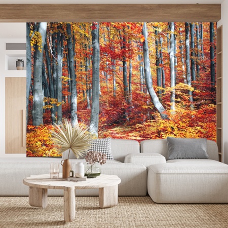 Foto tapet Simply autumn - Img 2