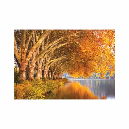 Foto tapet Trees along the lake - Img 2