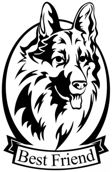 Sticker De Perete Best Friend - Img 5