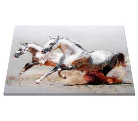 Tablou Canvas Efect Pictura - Cai albi alergand - Img 5