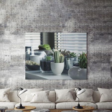 Tablou Canvas Plante De Apartament - Img 3