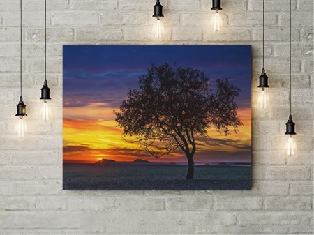 Tablou Canvas Savana - Img 2