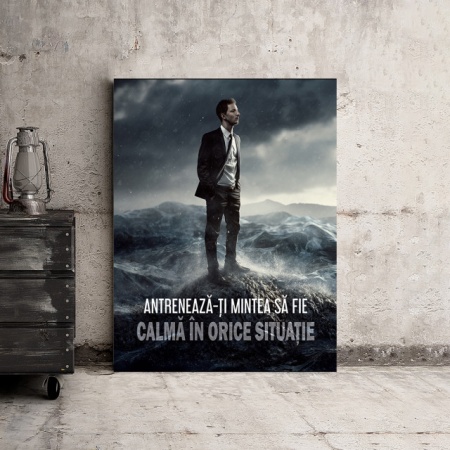 Tablou Motivational - Antreneaza-ti Mintea - Img 3