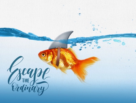 Tablou Motivational - Escape The Ordinary - Img 4