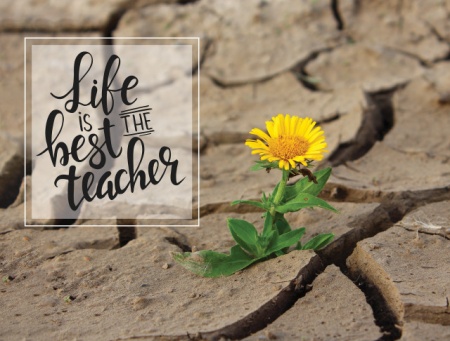 Tablou Motivational - Life Is The Best Teacher - Img 3
