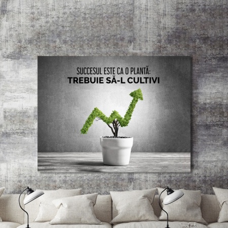 Tablou Motivational - Succesul Este Ca O Planta - Img 2