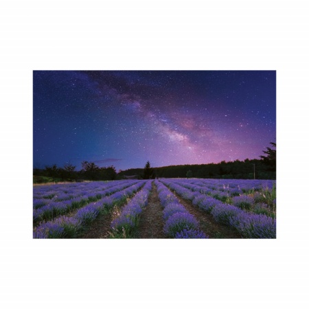 Foto tapet Lavender under the starry sky - Img 2