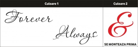 Sticker De Perete Forever &amp; Always - Img 5