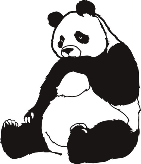 Sticker De Perete Panda - Img 3