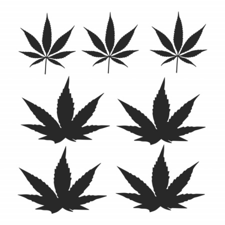 Sticker De Perete Weed Cannabis - Img 3