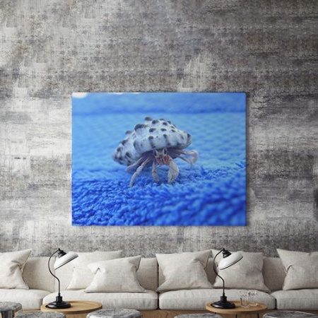 Tablou Canvas Crab - Img 4
