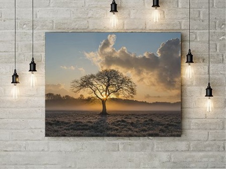 Tablou Canvas Lonely Tree - Img 3