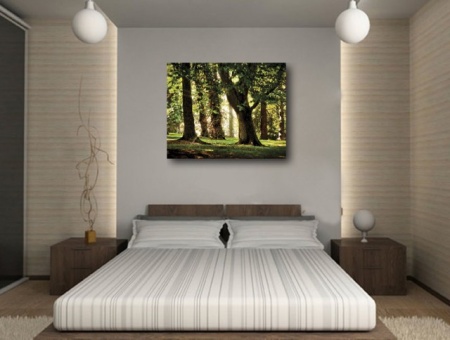 Tablou Canvas - Padurea - Img 2