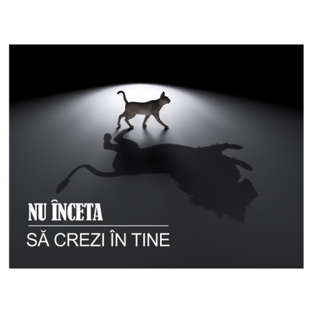 Tablou Motivational - Crede In Tine - Img 4