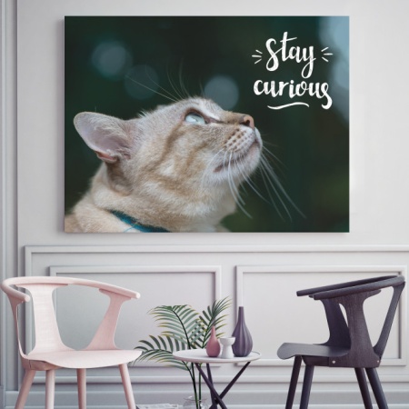 Tablou Motivational - Stay Curious - Img 2