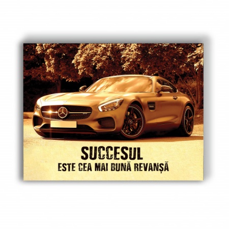 Tablou Motivational - Succesul Este Cea Mai Buna Revansa - Img 4