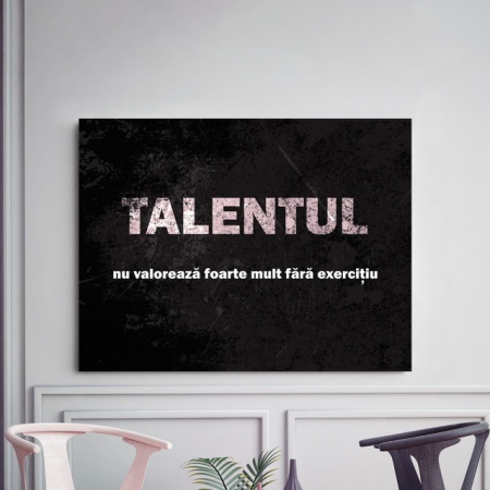 Tablou Motivational - Talentul Nu Valoreaza Foarte Mult - Img 3