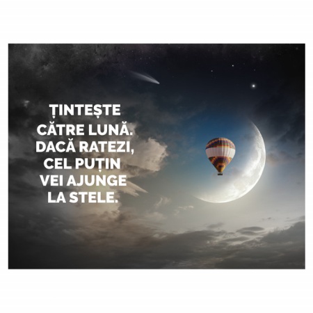 Tablou Motivational - Tinteste Catre Luna - Img 4