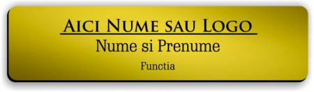 Ecuson personalizat gravat cu nume si/sau logo 8x2cm, auriu - Img 5