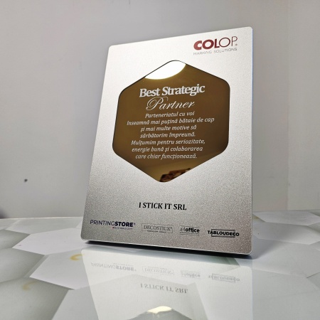 Plachetă Argintie cu element colorat Personalizată cu Text Corporate - Img 2