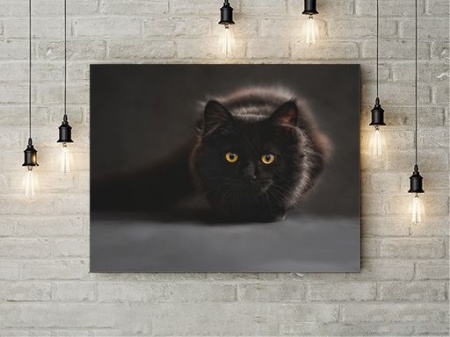Tablou Canvas Black Cat - Img 3