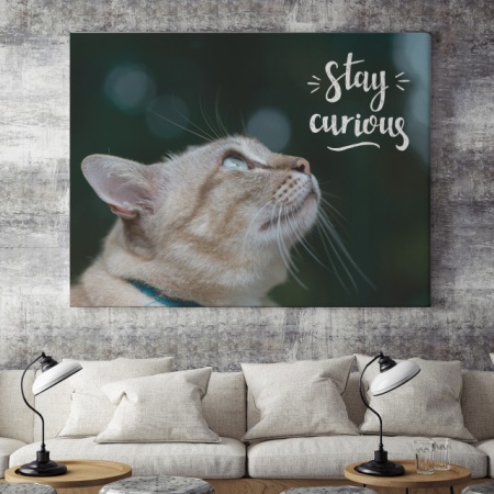 Tablou Motivational - Stay Curious - Img 3