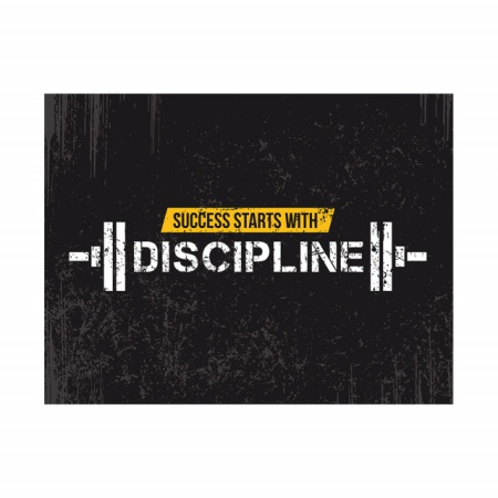 Tablou Motivational - Success starts with discipline - Img 4