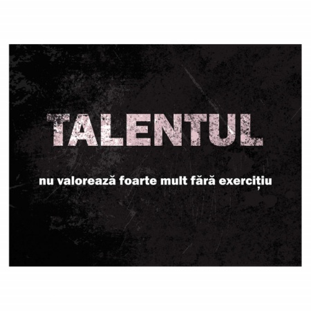 Tablou Motivational - Talentul Nu Valoreaza Foarte Mult - Img 4